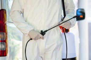 The Truth Behind Pest Control Myths | Pest2Kill The Truth Behind Pest Control Myths | Pest2Kill